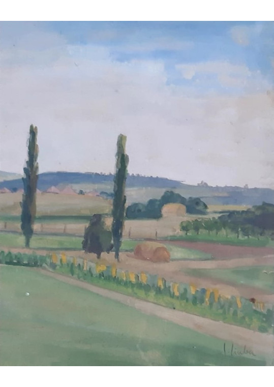 Corneliu Liuba